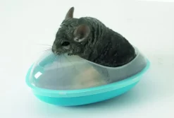 Savic Pets Favourite Savic Chinchillabad - komfortabelt sandbad til naturlig pelspleje