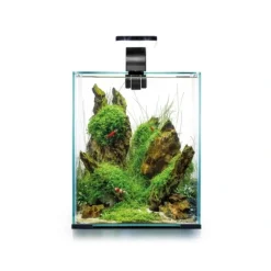 Aquael Shrimpset Day and Night 10 L 20x20x25 cm Sort