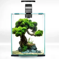 Aquael Shrimpset Day and Night 10 L 20x20x25 cm Sort