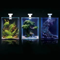 Aquael Shrimpset Day and Night 10 L 20x20x25 cm Hvid