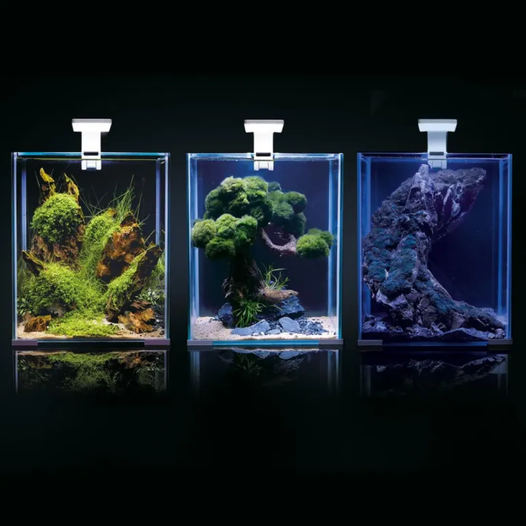 Aquael Shrimpset Day and Night 10 L 20x20x25 cm Hvid