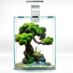 Aquael Shrimpset Day and Night 10 L 20x20x25 cm Hvid