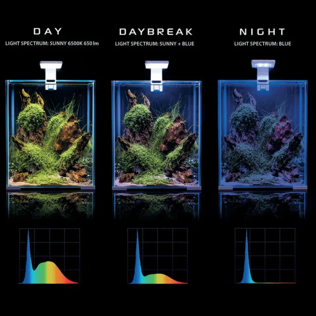 Aquael Shrimpset Day and Night 20 L 25x25x30 cm Hvid