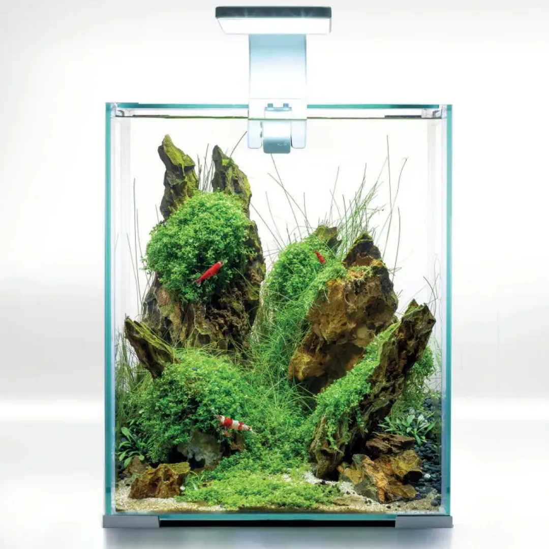 Aquael Shrimpset Day and Night 20 L 25x25x30 cm Hvid