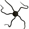 Saltvandsfisk Slangesøstjerne Ophioderma rubicundum
