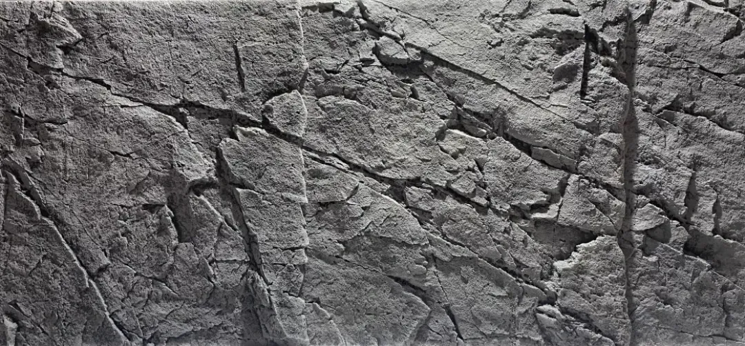 Back to Nature Slimline 60C Granit Rock 20x55 cm