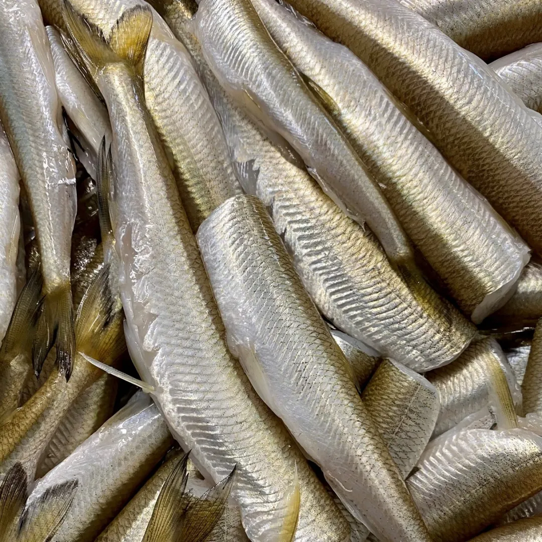 Barf - Fisk Smelt Frostfoder 5 kg Rent Råfoder uden Indmad til BARF Hunde og Kattemad