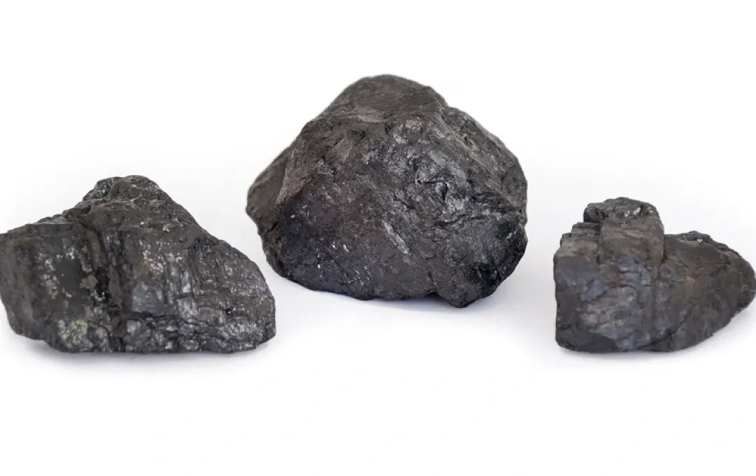 Dekoration til Akvarier og Terrarier Stenkul 9-15 cm pr kg