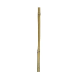 Hobby 1 stk Gul bambus 100 cm Ø 2 - 3 cm.