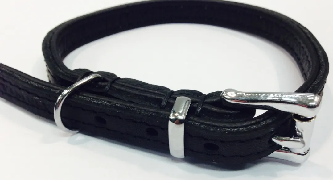 MiniZoo Timely halsbånd olieret læder sort 12 mm 30 cm - blød styrke til små hunde