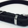 MiniZoo Timely halsbånd olieret læder sort 12 mm 30 cm - blød styrke til små hunde