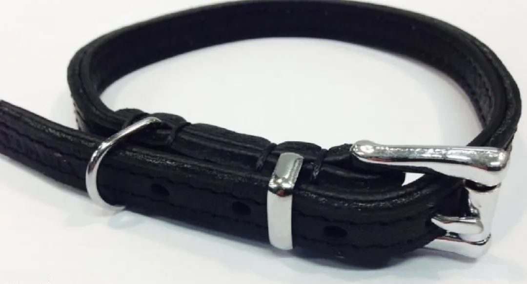 MiniZoo Timely halsbånd olieret læder sort 12 mm 20 cm - blød kontrol til små hunde