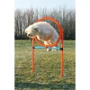 Trixie Agility Ring - sjov træning til hunde