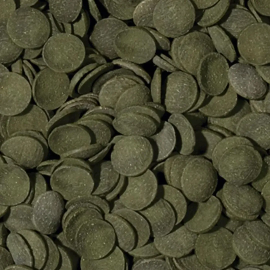 Tropical Green Algae Wafers 250 ml