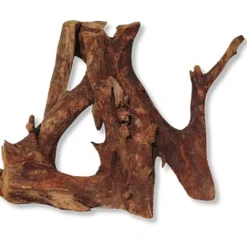 MiniZoo Trærod (Mangrovetræ) XL 34-49 cm