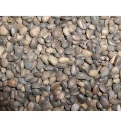 Fuglefoder Tyroler nødder 25 kg