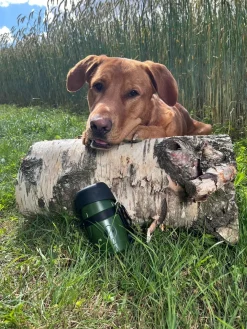 MiniZoo Vandflaske med sammenklappelig skål olivengrøn 600 ml