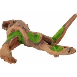 MiniZoo Zolux Kipouss Malaysia Root M With Live Plant Seeds